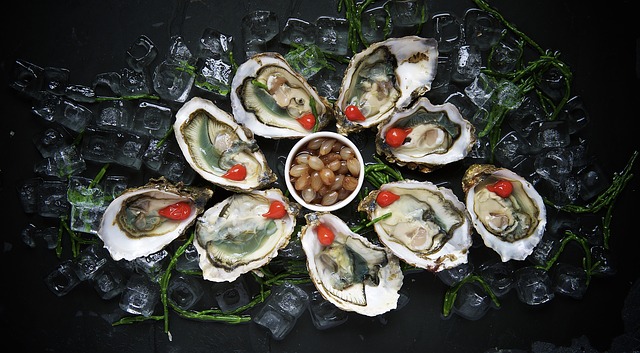 oysters 1209767 640