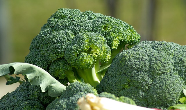 Calcium – Knochenbaustein in Milch und Co. vegetables 673181 640