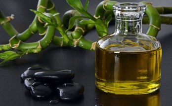 Schwarzkümmelöl für Mensch und Tier Schwarzkümmelöl