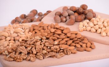Gesund zunehmen