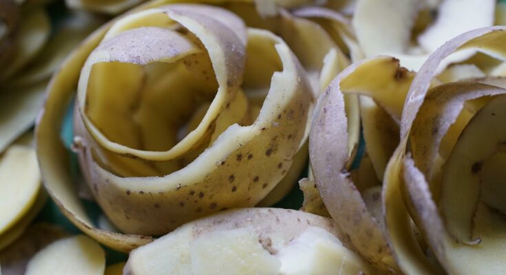 Kartoffelschalen
