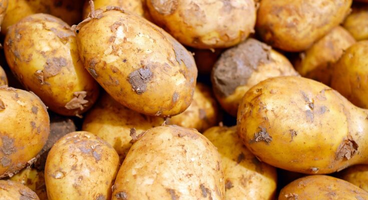 Alternative Kartoffeln